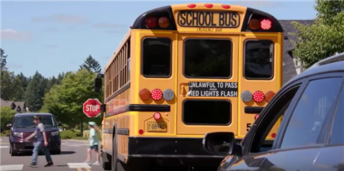 School Bus safety is important. It is unlawful to pass when the red lights flash. 
